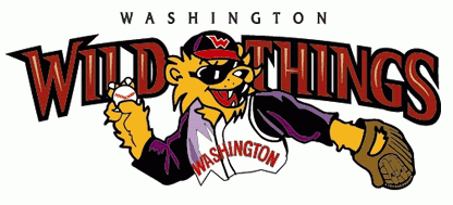 Washington Wild Things 2002-Pres Wordmark Logo iron on transfers for clothing